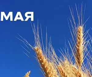 Поздравляем с Праздником Весны и Труда!